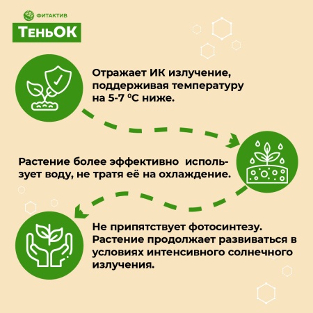 ТеньОК для хвойных и декоративных растений, 1 л (Фитактив ТеньОк)